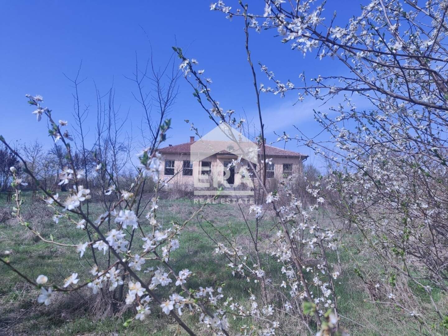 Haus in Tschelnik, Jambol – Foto 6