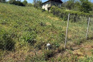 For sale - For Construction in Balam Dere,  Varna