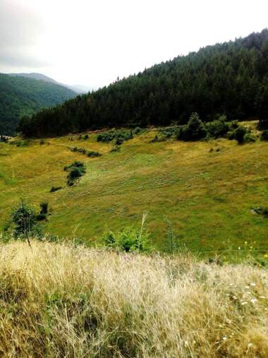 Satış - İnşaat arsası olarak Velingrad,  Pazarcik