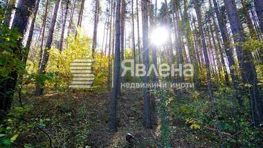 Продажба - Парцел за строителство в Център,  София