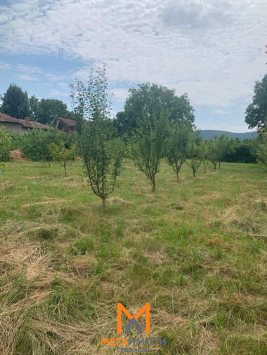 Verkauf - Baugrundstück in Petko Slaweykow,  Gabrowo