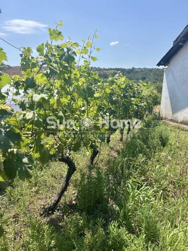Продажба - Къща в Българин,  Хасково