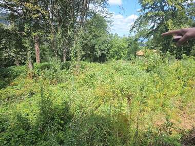 For sale - For Construction in Botevgrad,  Sofia Oblast