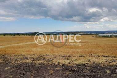 Vânzare - Teren agricol în Ignatievo,  Varna