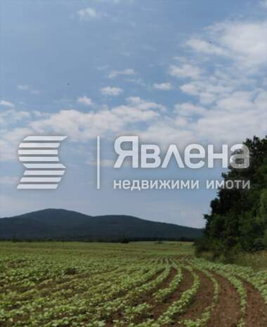 Verkauf - Landwirtschaftlich Grundstück in Zarewo,  Burgas
