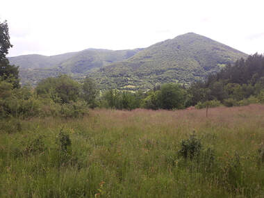 For sale - Meadow/pasture in Svoge,  Sofia Oblast