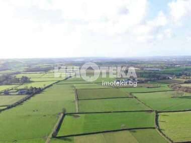 Verkauf - Landwirtschaftlich Grundstück in Brestnik,  Plowdiw