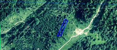 For sale - Meadow/pasture in Batak,  Pazardjik