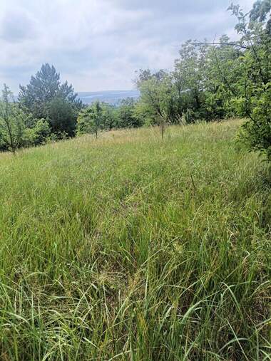 Satış - Asmalıklar olarak Promişlena zona - Sever,  Razgrad