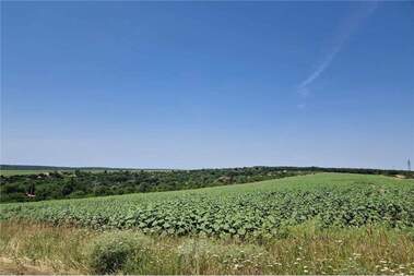 Satış - İnşaat arsası olarak Avren,  Varna
