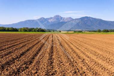 For sale - Agricultural land in Asenovgrad,  Plovdiv