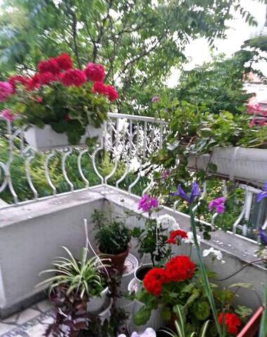 Vânzare - Apartament în Țentăr,  Burgas