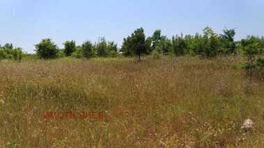 Vânzare - Teren agricol în Varvara,  Burgas