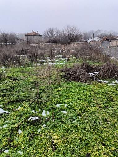 Verkauf - Baugrundstück in Gezowo,  Razgrad