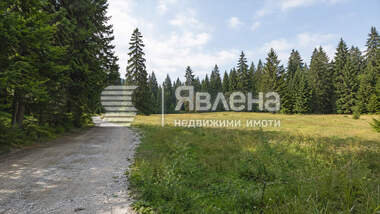Verkauf - Baugrundstück in Borowez,  Sovia Oblast