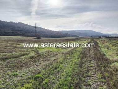 For sale - Orchard in Usoyka,  Kiustendil