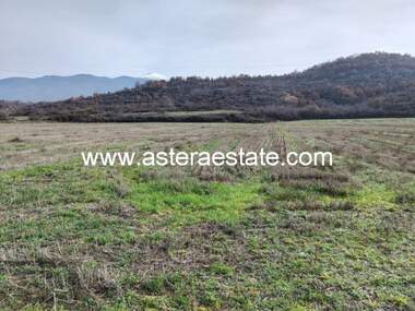 For sale - Orchard in Usoyka,  Kiustendil