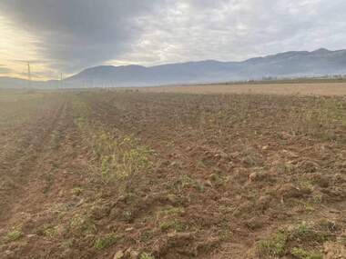 Verkauf - Landwirtschaftlich Grundstück in Rozino,  Plowdiw
