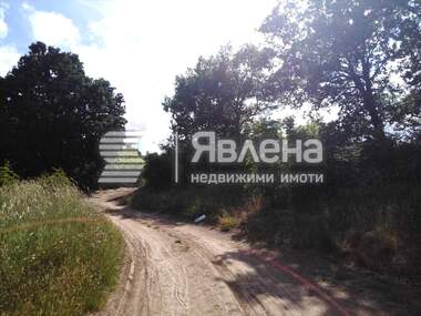 For sale - Agricultural land in Carevo,  Burgas