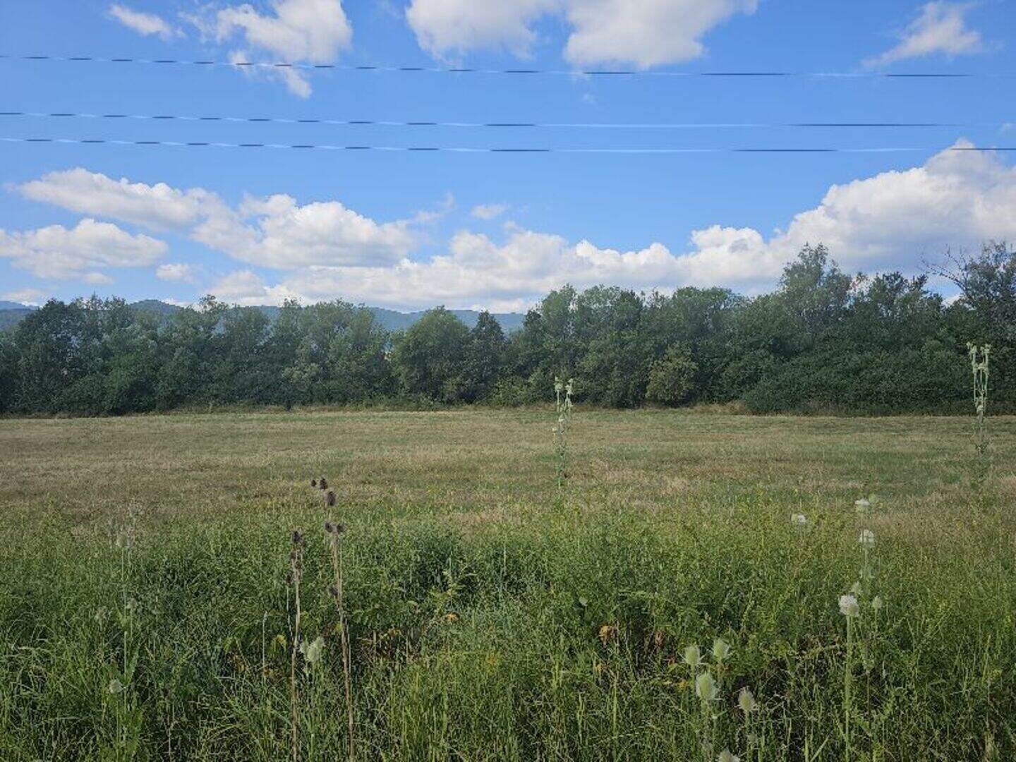 Landwirtschaftlich Grundstück in Litakowo, Sofiyska – Foto 6