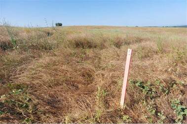For sale - For Construction in Biala,  Varna