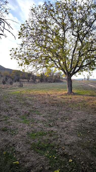 For sale - For Construction in Pastrovo,  Stara Zagora