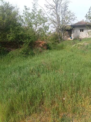 Satış - İnşaat arsası olarak Malak Porovec,  Razgrad