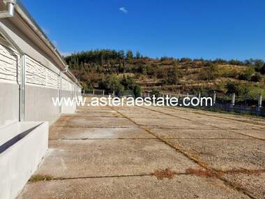 Închiriere - Spațiu industrial/Spațiu de depozitare/Depozit în Bălgarceevo,  Blagoevgrad