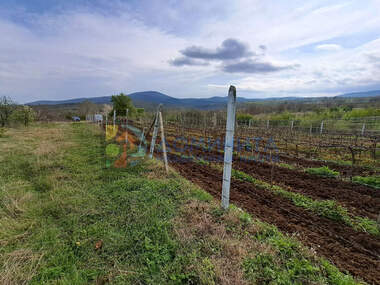For sale - Vineyards in Carevo,  Burgas