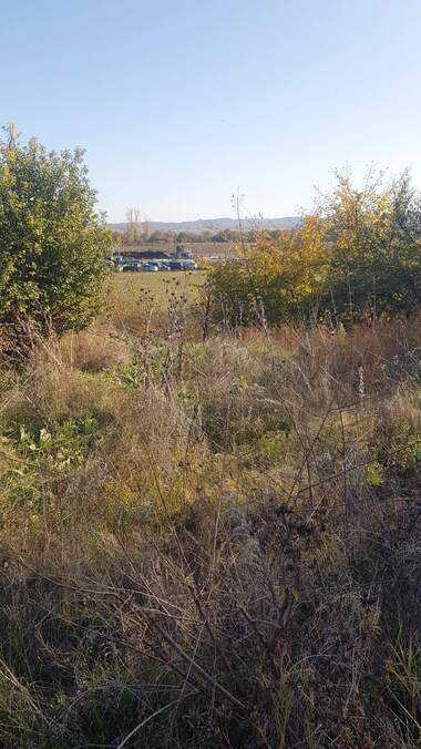For sale - For Construction in Bial Kamak,  Kiustendil