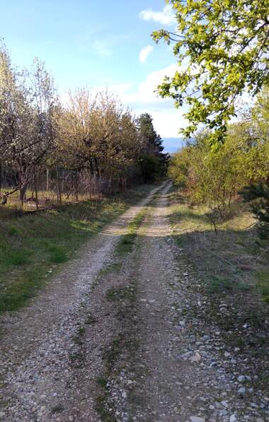 For sale - House in Eremia,  Kiustendil