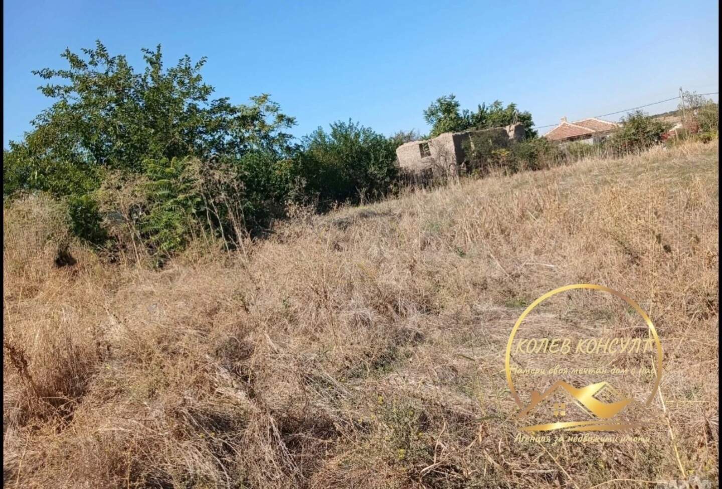 Teren de construcții în Biser, Haskovo – fotografia 3