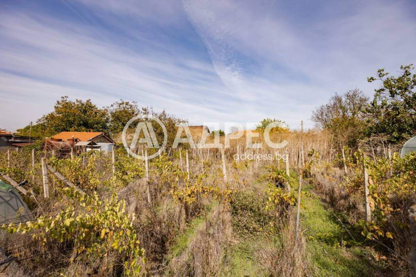 Ev olarak Neofit Rilski, Varna – fotoğraf 4