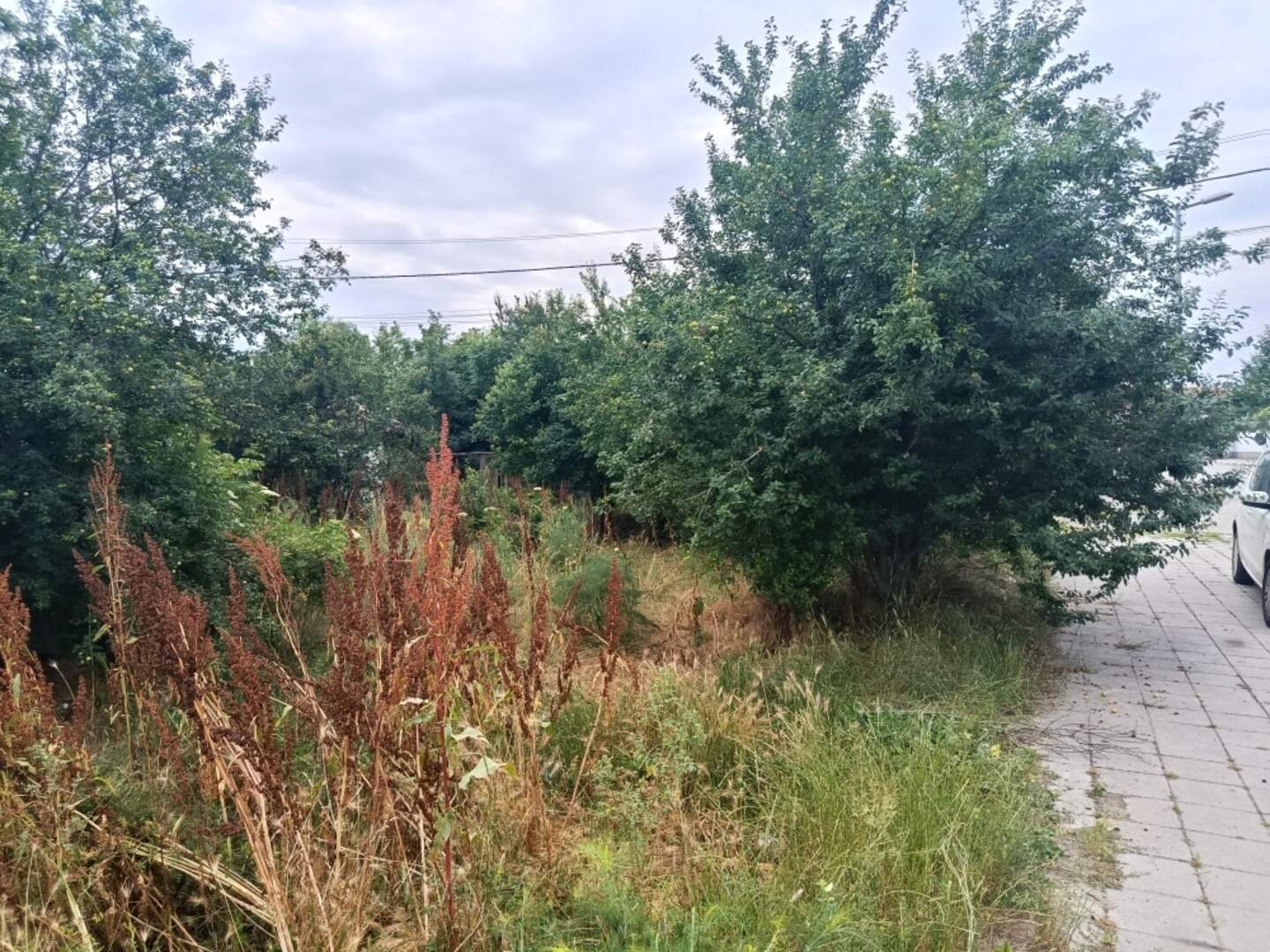 For Construction in Tarnicheni, Stara Zagora – photo 3