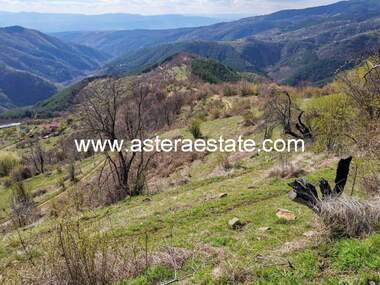 Vânzare - Teren agricol în Bistrița,  Blagoevgrad