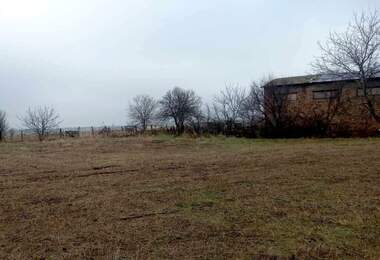 For sale - Storage/Warehouse/Storage Unit in Bazan,  Ruse