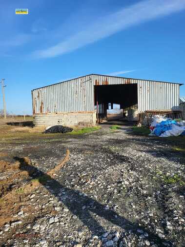 For sale - Agricultural land in Govedare,  Pazardjik