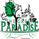 Green Paradise Sales