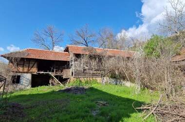 For sale - House in Pirgovo,  Ruse