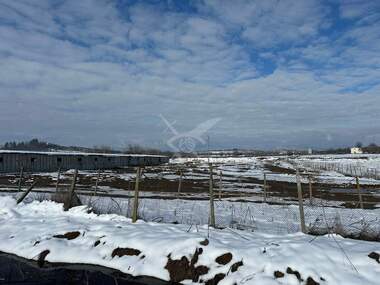 For sale - Agricultural land in Brezovo,  Plovdiv