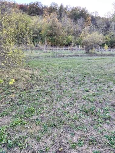 For sale - Agricultural land in Pchelishte,  Veliko Tyrnovo