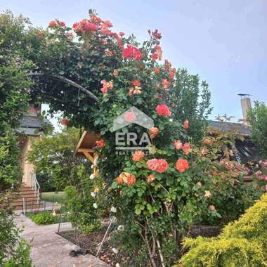 For sale - House in Stamboliyski,  Haskovo