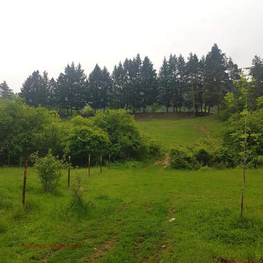Verkauf - Baugrundstück in Saparewa Bania,  Küstendil