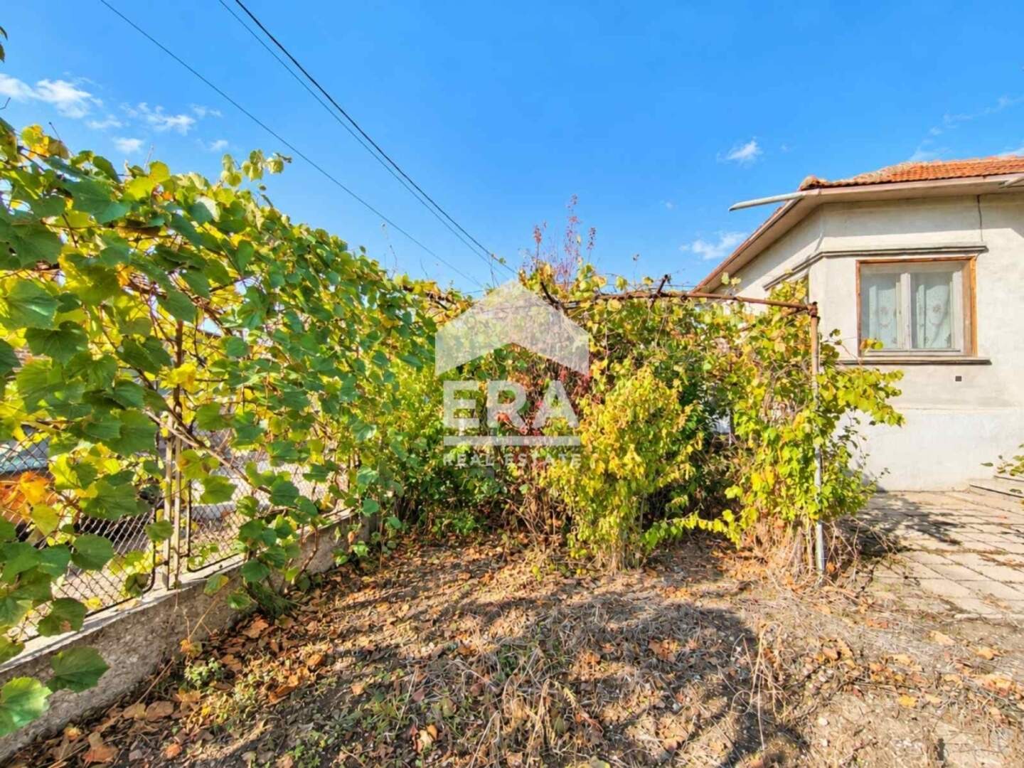 House in Voyvodovo, Haskovo – photo 3