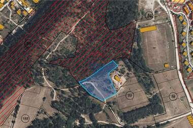 For sale - Agricultural land in Bania,  Blagoevgrad
