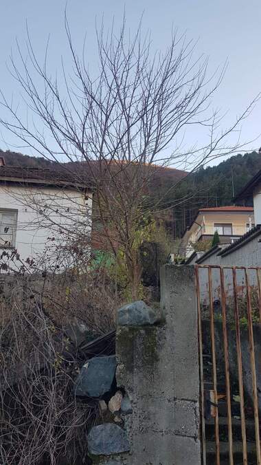 Verkauf - Haus in Saparewa Bania,  Küstendil