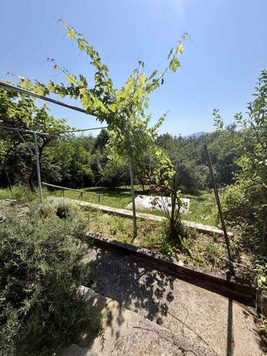 For sale - House in Belish,  Lovech