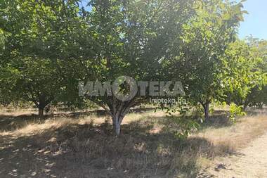 Πώληση - Γεωργική γη σε Цалапица,  Пловдив