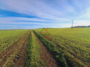 Продажа - Участок под строительство в Александрово,  Бургас