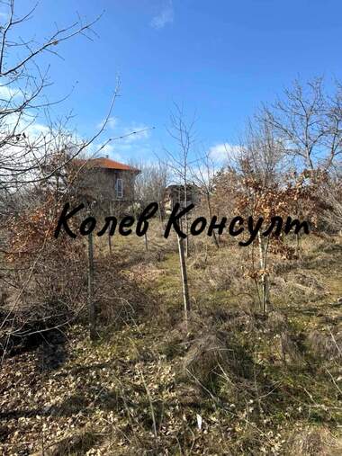 Vânzare - Teren agricol în Dimitrovgrad,  Haskovo
